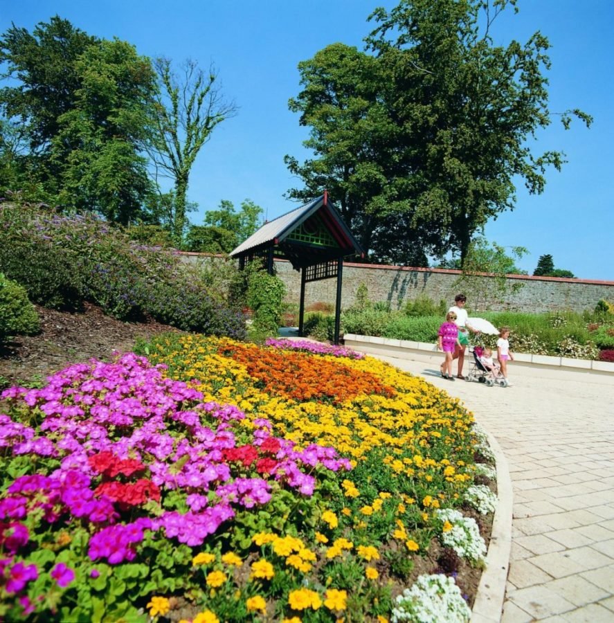 🌳 컨트리 공원(칸펑넉 컨트리 파크)